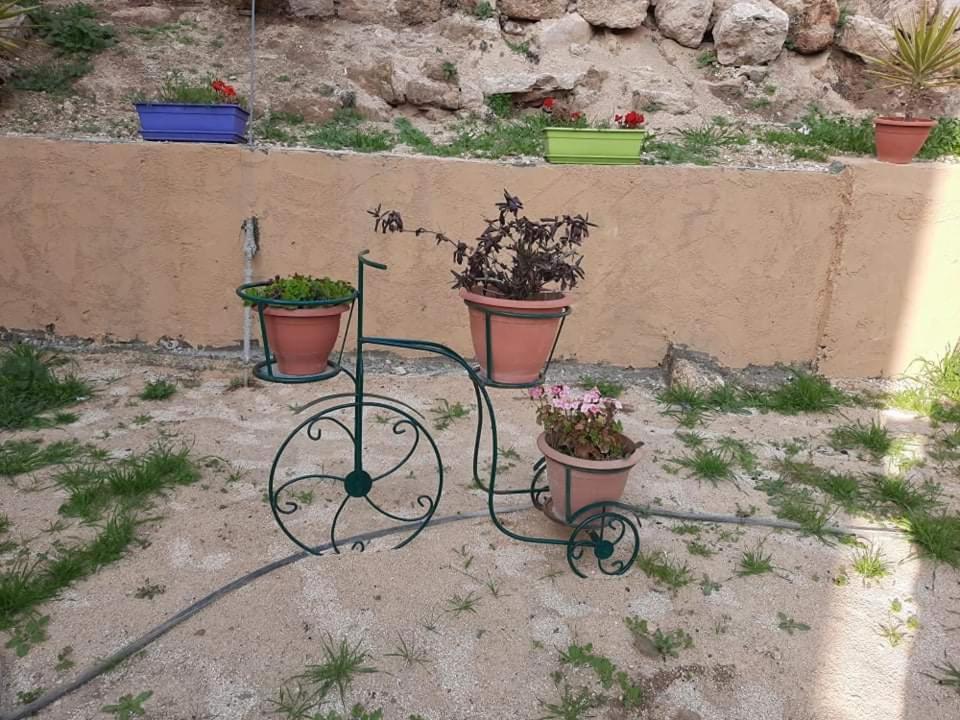 Emile Altwal Madaba Hotel Bagian luar foto